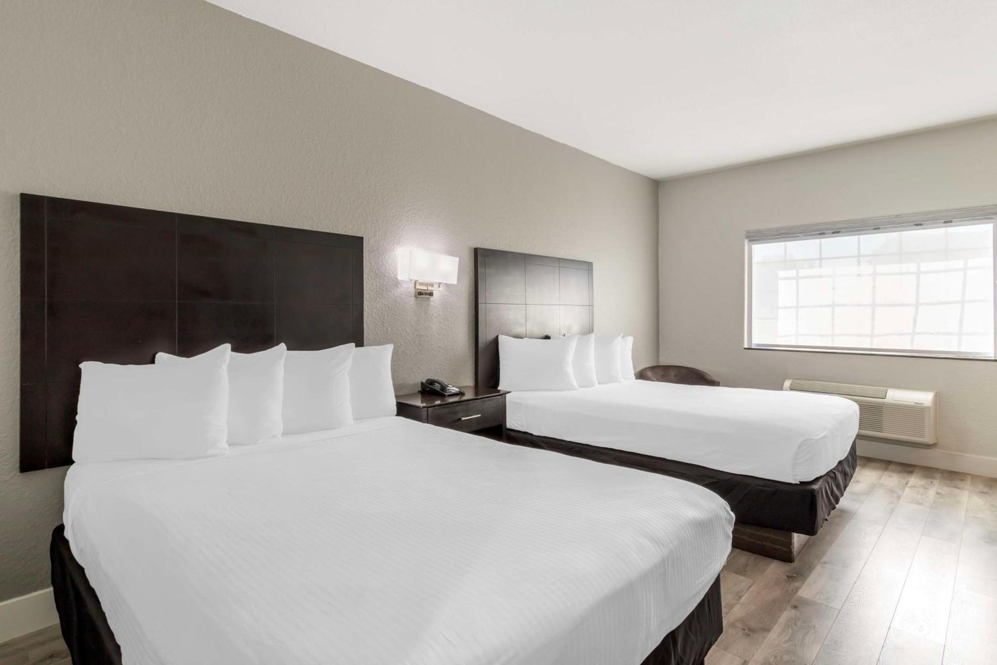 Surestay Plus By Best Western Texas City I-45 Ngoại thất bức ảnh